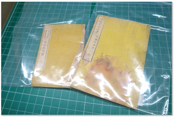 密封袋に収納されたヒ素含有図書の写真