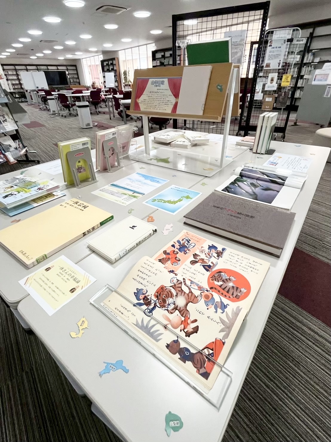 展示