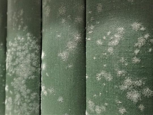 書籍のカビ状況