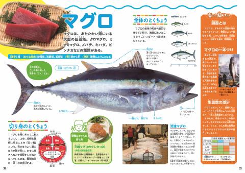 魚と肉の切り身図鑑P32-33