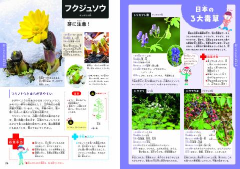 毒のある植物　見開き2
