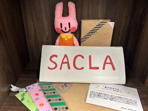 R8 SACLA サムネイル