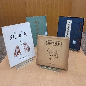 yamazaki-akitainu1